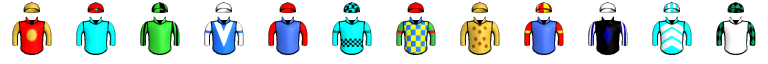 Runner silk