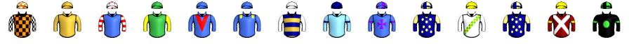 Runner silk