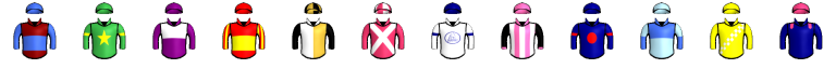 Runner silk