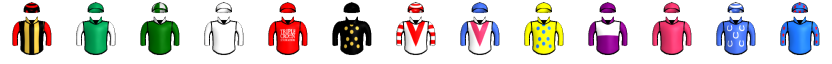 Runner silk