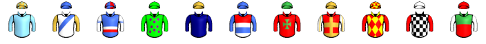 Runner silk
