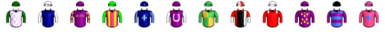 Runner silk