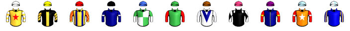 Runner silk