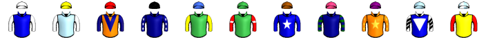 Runner silk