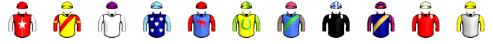 Runner silk
