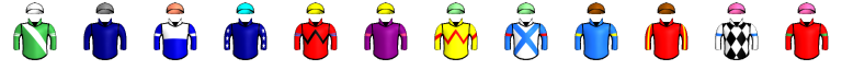 Runner silk