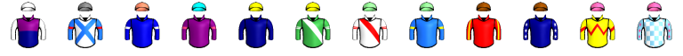 Runner silk