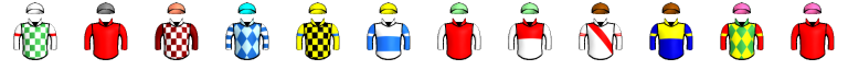 Runner silk