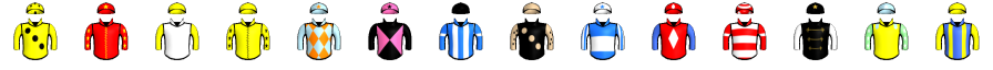 Runner silk