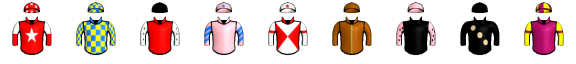 Runner silk