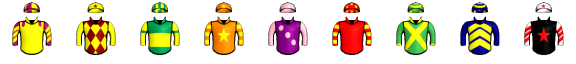 Runner silk