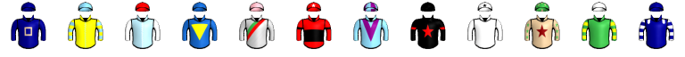 Runner silk