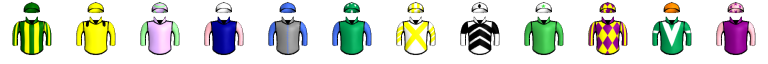 Runner silk