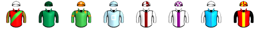 Runner silk