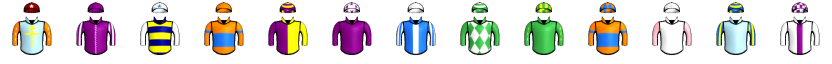 Runner silk