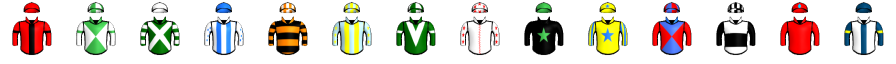 Runner silk