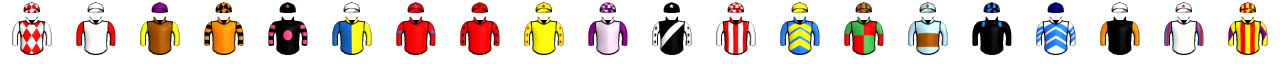 Runner silk