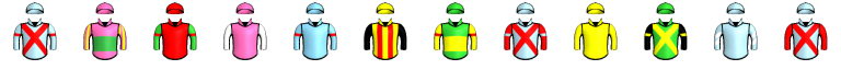 Runner silk