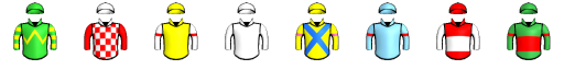 Runner silk