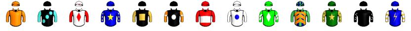 Runner silk