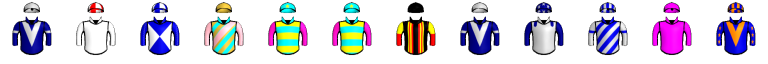 Runner silk