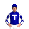 Jockey Silk