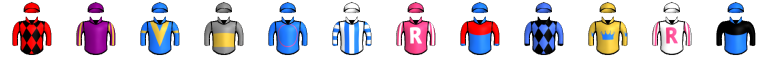 Runner silk
