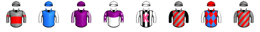 Runner silk