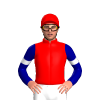 Jockey Silk