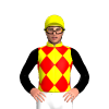 Jockey Silk