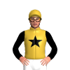 Jockey Silk