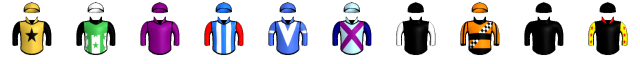 Runner silk