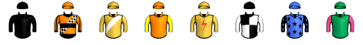 Runner silk