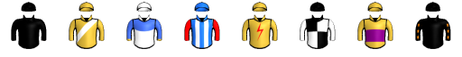 Runner silk