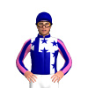Jockey Silk