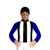 Jockey Silk