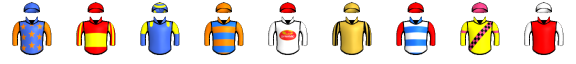 Runner silk