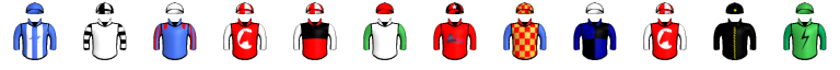Runner silk