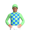 Jockey Silk