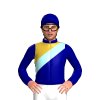 Jockey Silk