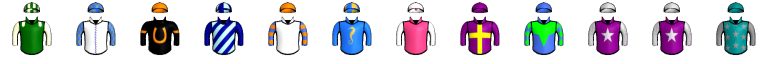 Runner silk