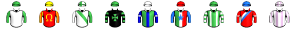 Runner silk
