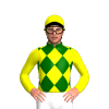 Jockey Silk