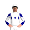 Jockey Silk