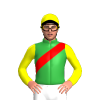 Jockey Silk