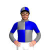 Jockey Silk