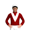 Jockey Silk