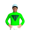 Jockey Silk
