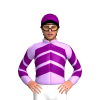 Jockey Silk