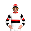 Jockey Silk